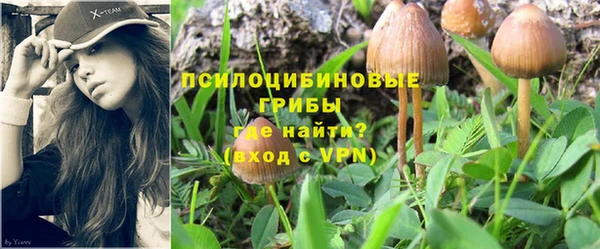 эйфоретик Белоозёрский