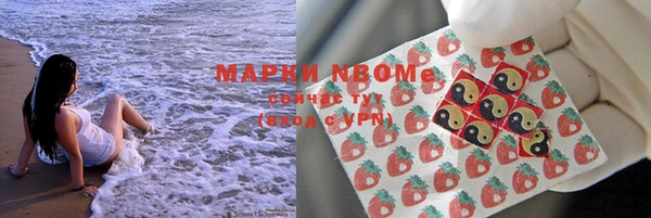 гидра Белокуриха
