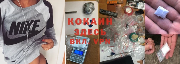 гидра Белокуриха
